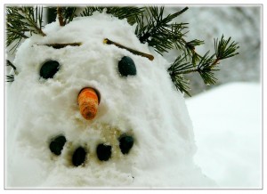 snow-man-250070_1280